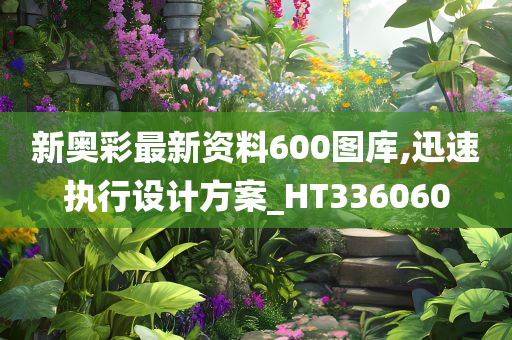 新奥彩最新资料600图库,迅速执行设计方案_HT336060