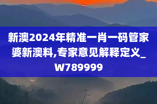 新澳2024年精准一肖一码管家婆新澳料,专家意见解释定义_W789999