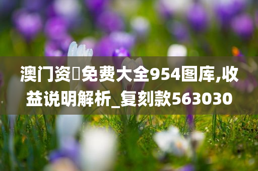 澳门资枓免费大全954图库,收益说明解析_复刻款563030