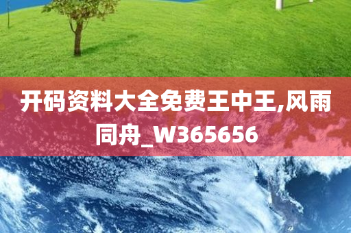 开码资料大全免费王中王,风雨同舟_W365656