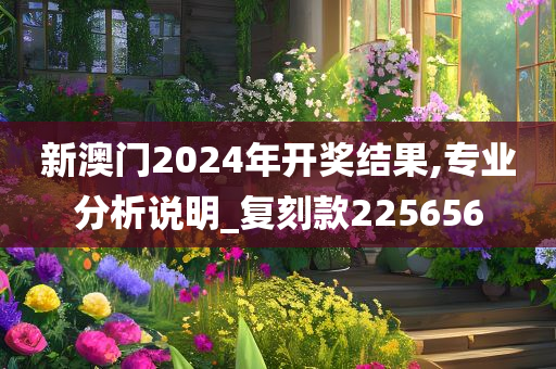 新澳门2024年开奖结果,专业分析说明_复刻款225656