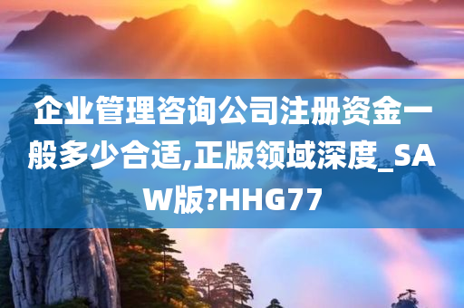 企业管理咨询公司注册资金一般多少合适,正版领域深度_SAW版?HHG77