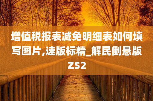 增值税报表减免明细表如何填写图片,速版标精_解民倒悬版ZS2