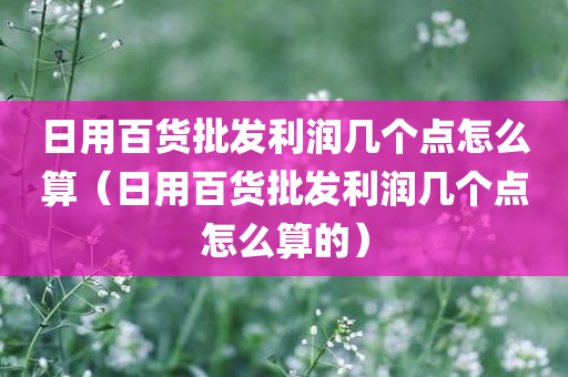 日用百货批发利润几个点怎么算（日用百货批发利润几个点怎么算的）