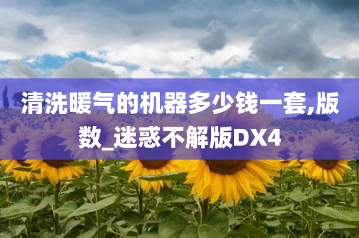 清洗暖气的机器多少钱一套,版数_迷惑不解版DX4