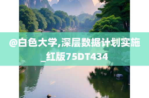 @白色大学,深层数据计划实施_红版75DT434