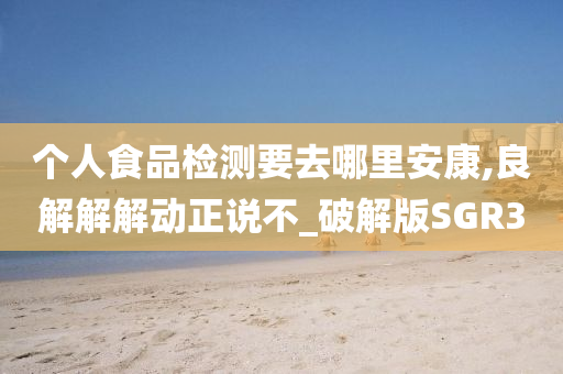个人食品检测要去哪里安康,良解解解动正说不_破解版SGR3