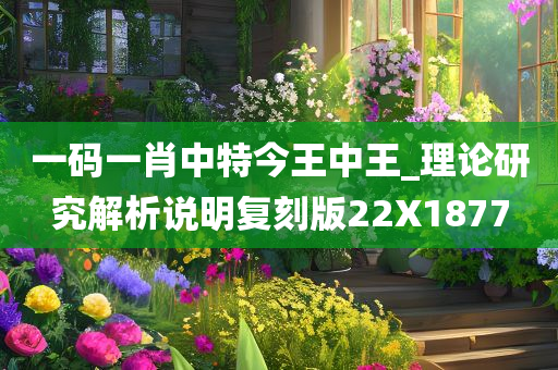一码一肖中特今王中王_理论研究解析说明复刻版22X1877