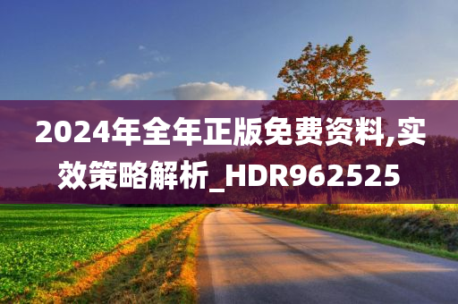 2024年全年正版免费资料,实效策略解析_HDR962525