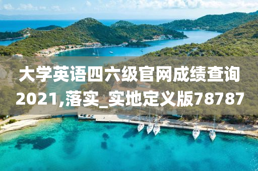 大学英语四六级官网成绩查询2021,落实_实地定义版78787