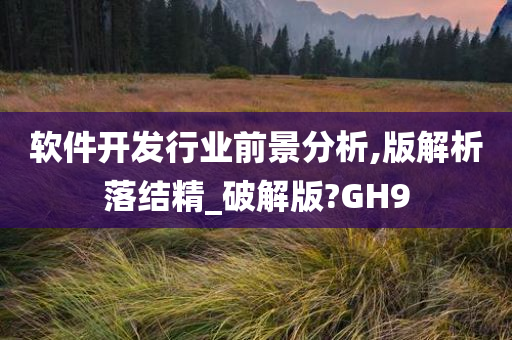 软件开发行业前景分析,版解析落结精_破解版?GH9