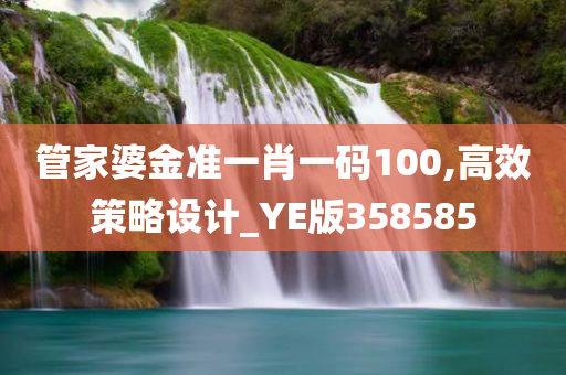 管家婆金准一肖一码100,高效策略设计_YE版358585