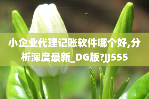小企业代理记账软件哪个好,分析深度最新_DG版?JJ555