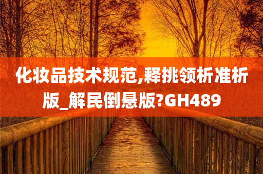 化妆品技术规范,释挑领析准析版_解民倒悬版?GH489