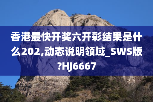 香港最快开奖六开彩结果是什么202,动态说明领域_SWS版?HJ6667