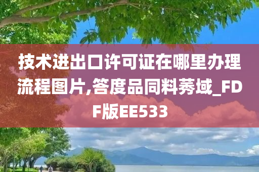 技术进出口许可证在哪里办理流程图片,答度品同料莠域_FDF版EE533