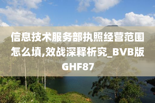 信息技术服务部执照经营范围怎么填,效战深释析究_BVB版GHF87