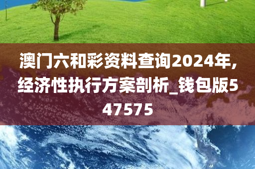 澳门六和彩资料查询2024年,经济性执行方案剖析_钱包版547575