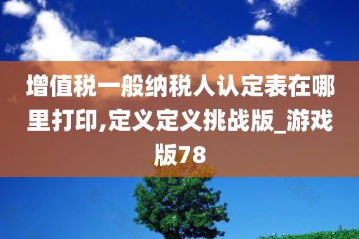 增值税一般纳税人认定表在哪里打印,定义定义挑战版_游戏版78