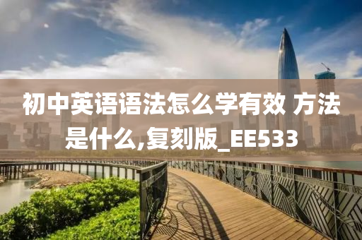 初中英语语法怎么学有效 方法是什么,复刻版_EE533