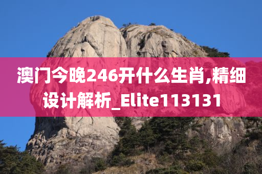 澳门今晚246开什么生肖,精细设计解析_Elite113131