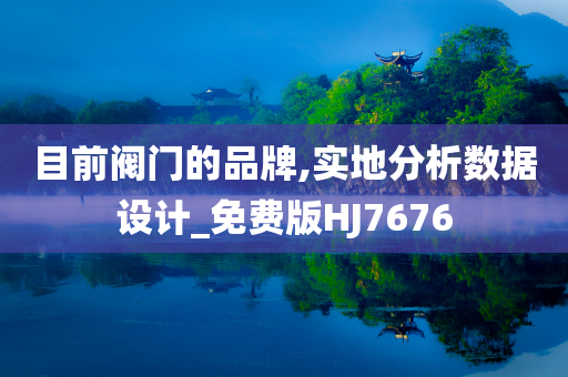 目前阀门的品牌,实地分析数据设计_免费版HJ7676