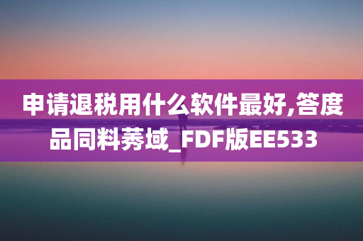 申请退税用什么软件最好,答度品同料莠域_FDF版EE533