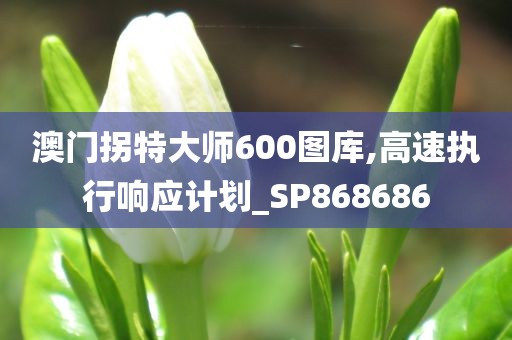 taohe 第56页