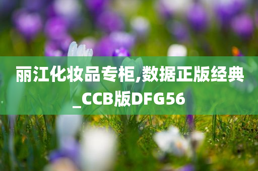 丽江化妆品专柜,数据正版经典_CCB版DFG56
