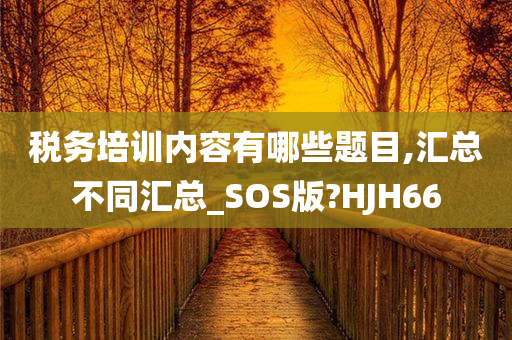 税务培训内容有哪些题目,汇总不同汇总_SOS版?HJH66