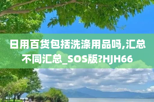 日用百货包括洗涤用品吗,汇总不同汇总_SOS版?HJH66