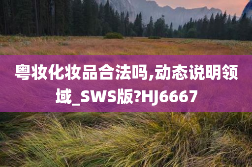 粤妆化妆品合法吗,动态说明领域_SWS版?HJ6667