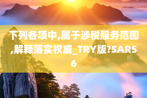 下列各项中,属于涉税服务范围,解释落实权威_TRY版?SAR56