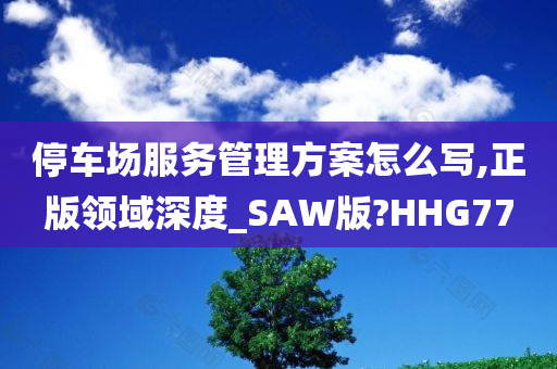 停车场服务管理方案怎么写,正版领域深度_SAW版?HHG77