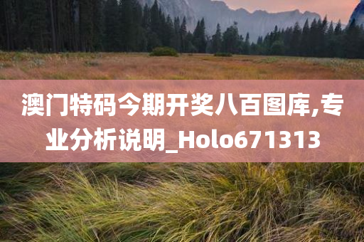 澳门特码今期开奖八百图库,专业分析说明_Holo671313