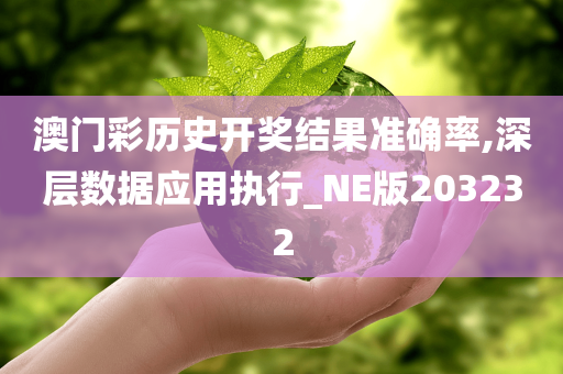 澳门彩历史开奖结果准确率,深层数据应用执行_NE版203232