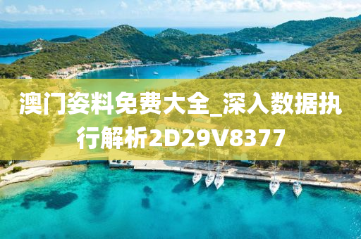 澳门姿料免费大全_深入数据执行解析2D29V8377