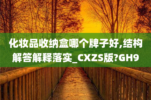 化妆品收纳盒哪个牌子好,结构解答解释落实_CXZS版?GH9
