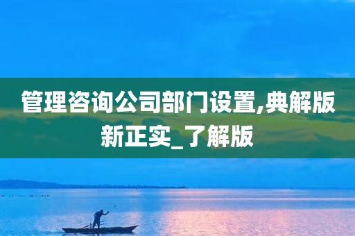 管理咨询公司部门设置,典解版新正实_了解版