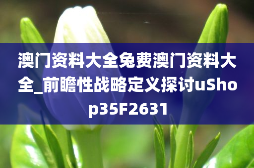 澳门资料大全兔费澳门资料大全_前瞻性战略定义探讨uShop35F2631