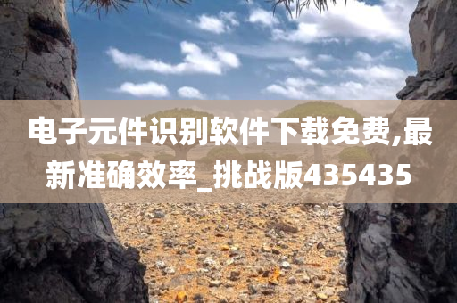 电子元件识别软件下载免费,最新准确效率_挑战版435435今晚必出三肖2025_2025新澳门精准免费提供·精确判断