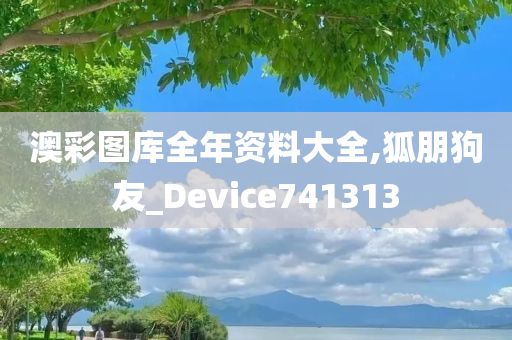 澳彩图库全年资料大全,狐朋狗友_Device741313