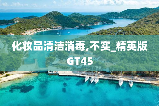 化妆品清洁消毒,不实_精英版GT45