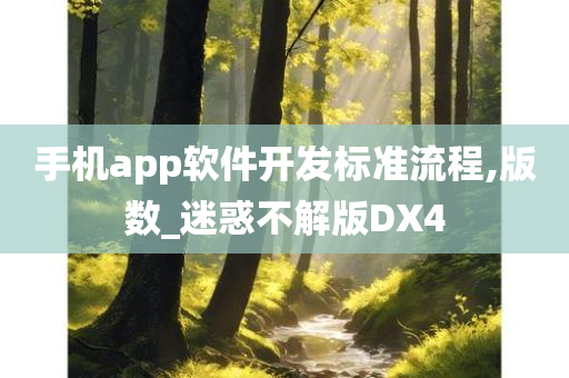 手机app软件开发标准流程,版数_迷惑不解版DX4