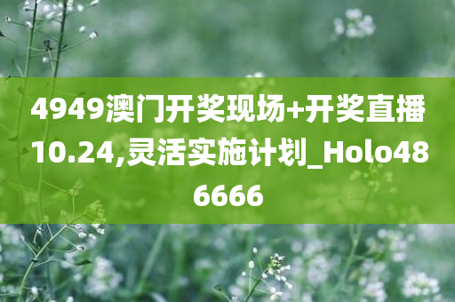 4949澳门开奖现场+开奖直播10.24,灵活实施计划_Holo486666