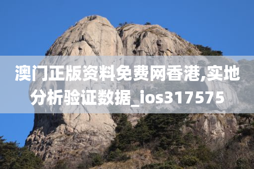 澳门正版资料免费网香港,实地分析验证数据_ios317575