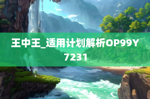 王中王_适用计划解析OP99Y7231