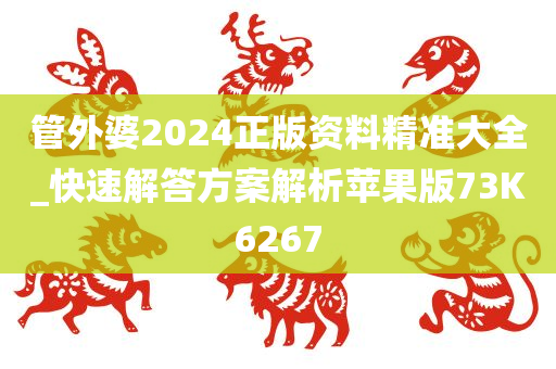 管外婆2024正版资料精准大全_快速解答方案解析苹果版73K6267
