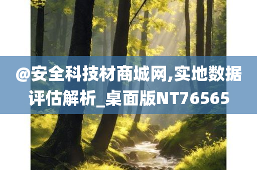 @安全科技材商城网,实地数据评估解析_桌面版NT76565