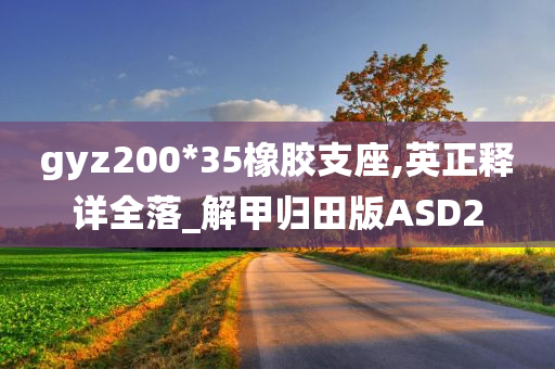 gyz200*35橡胶支座,英正释详全落_解甲归田版ASD2
